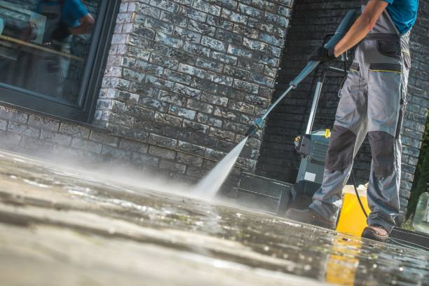 Best Graffiti Removal  in Okemos, MI