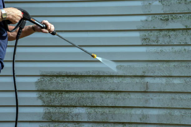 Best Driveway Pressure Washing  in Okemos, MI